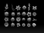 flowers