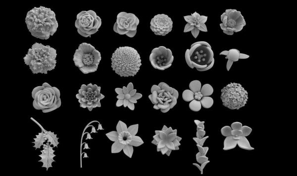 flowers