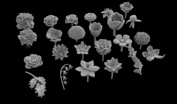 flowers