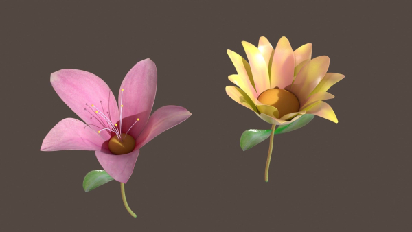 Flowers