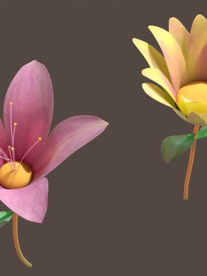 Flowers