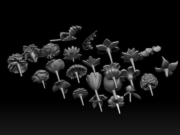 flowers