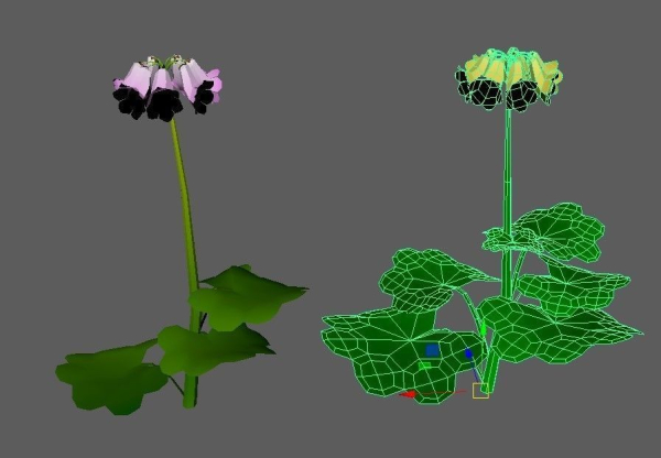 Flowers