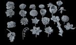 flowers
