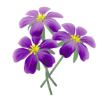 FLOWERS three