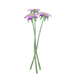 FLOWERS three