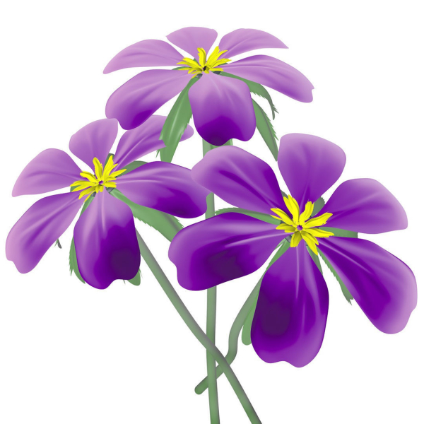 FLOWERS three