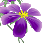 FLOWERS three