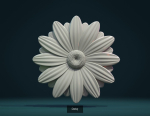 Flowers flower