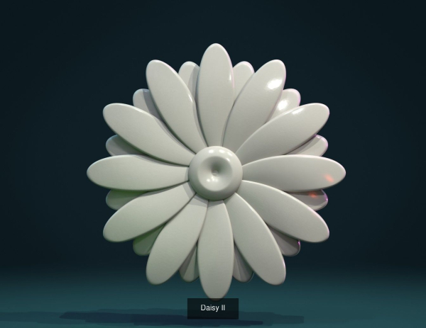 Flowers flower
