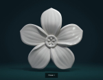 Flowers flower