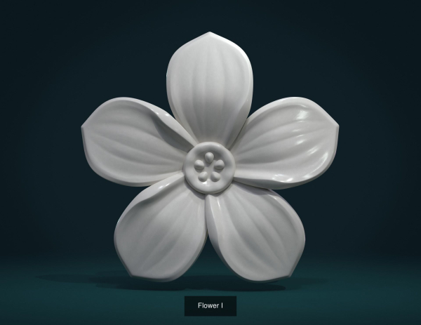 Flowers flower