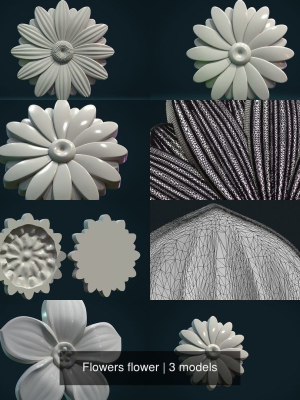 Flowers flower
