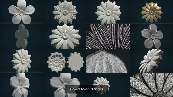 Flowers flower