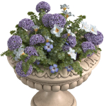 Flowers Garden Plant Vase Flowerpot Patio