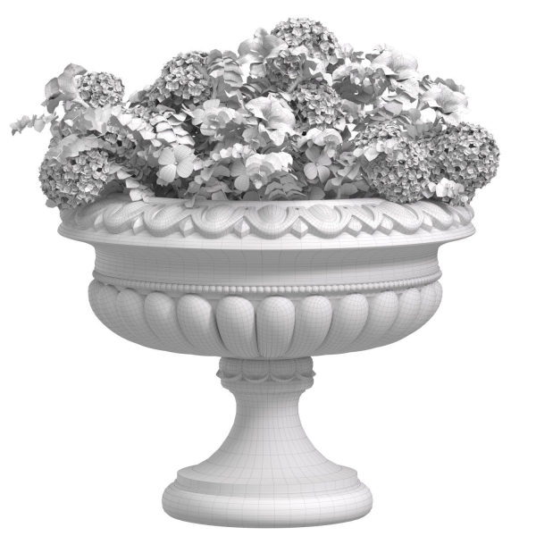 Flowers Garden Plant Vase Flowerpot Patio