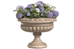 Flowers Garden Plant Vase Flowerpot Patio