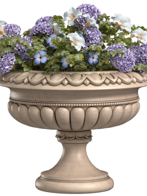Flowers Garden Plant Vase Flowerpot Patio