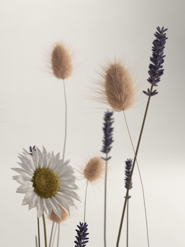 Flowers in The Clay
