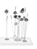Flowers in The Clay