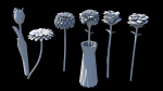 Flowers in vase
