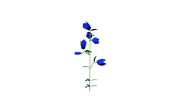 Flowers low poly flower