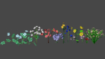 Flowers low poly flower