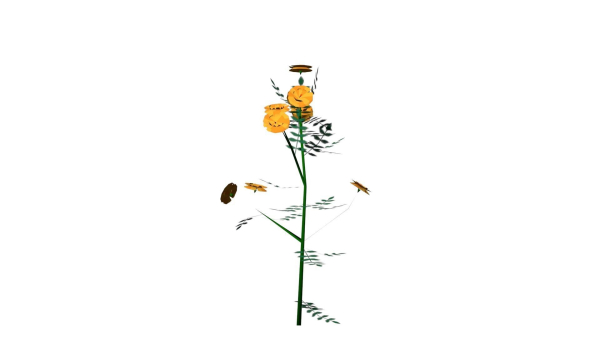 Flowers low poly flower