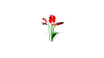 Flowers low poly flower