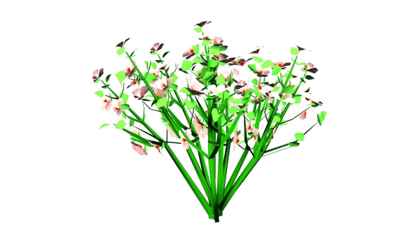 Flowers low poly flower