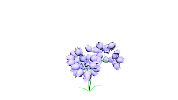 Flowers low poly flower