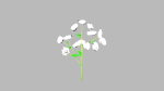 Flowers low poly flower