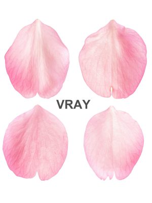 flying-petals-pack-3d-model-low-poly-max-fbx-c4d-fbm
