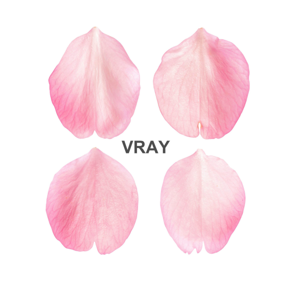 Flying Petals Pack