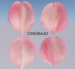 Flying Petals Pack