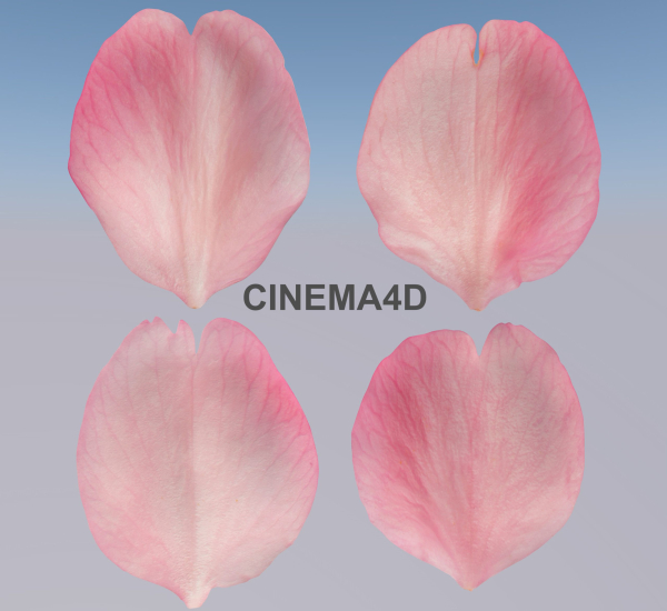 Flying Petals Pack