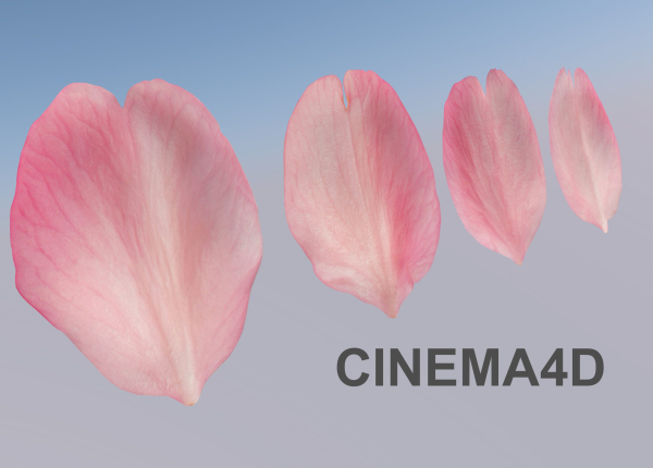 Flying Petals Pack