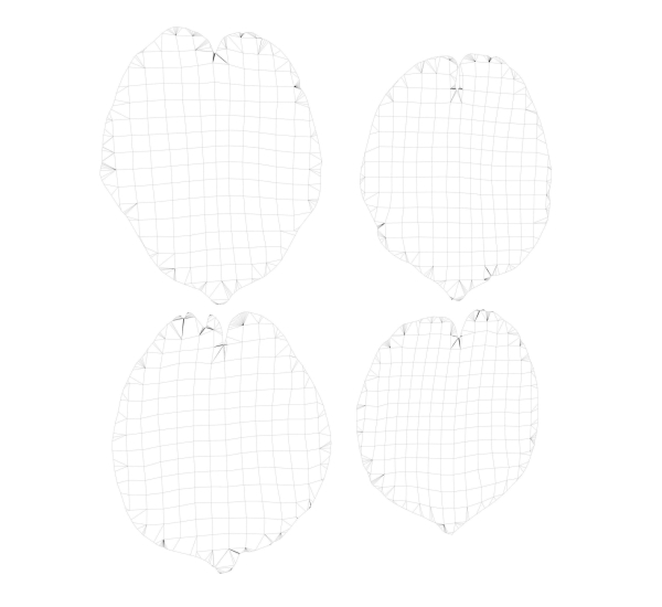 Flying Petals Pack