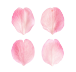 Flying Petals Pack