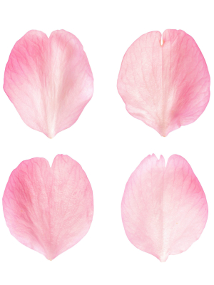 Flying Petals Pack