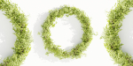 Foliage wreath collection vol 169-Blender