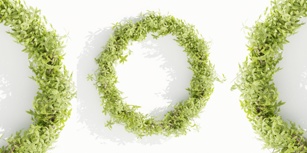 Foliage wreath collection vol 169-Blender