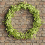 Foliage wreath collection vol 169-Blender