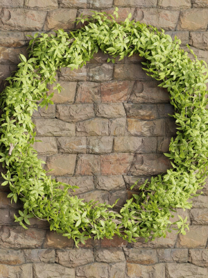 foliage-wreath-collection-vol-169-blender-3d-model-633afb5b29