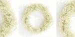 Foliage wreath collection vol 169-Blender