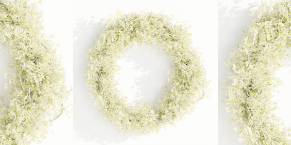 Foliage wreath collection vol 169-Blender