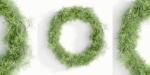 Foliage wreath collection vol 169-Blender