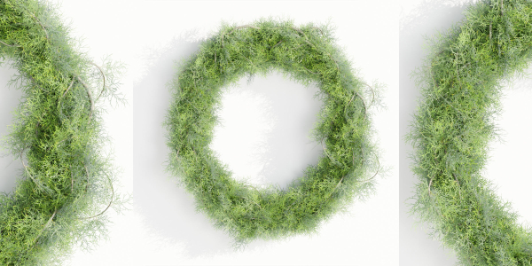 Foliage wreath collection vol 169-Blender