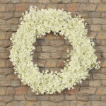 Foliage wreath collection vol 169-Blender