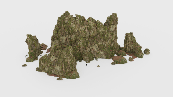 Forest Cliffs Moss
